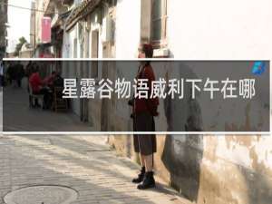 星露谷物语威利下午在哪