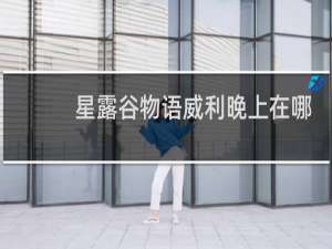 星露谷物语威利晚上在哪