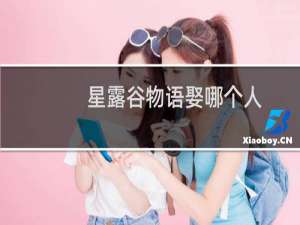 星露谷物语娶哪个人