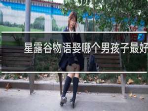 星露谷物语娶哪个男孩子最好