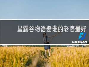 星露谷物语娶谁的老婆最好