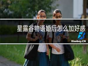 星露谷物语婚后怎么加好感