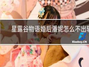 星露谷物语婚后潘妮怎么不出轨