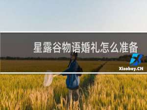 星露谷物语婚礼怎么准备
