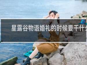 星露谷物语婚礼的时候要干什么