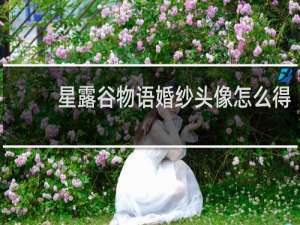 星露谷物语婚纱头像怎么得