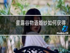 星露谷物语婚纱如何获得