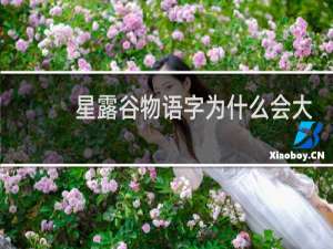 星露谷物语字为什么会大