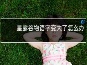 星露谷物语字变大了怎么办