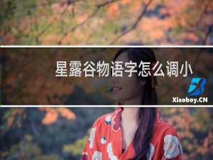 星露谷物语字怎么调小