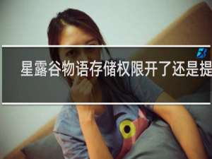星露谷物语存储权限开了还是提示