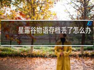 星露谷物语存档丢了怎么办