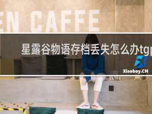 星露谷物语存档丢失怎么办tgp