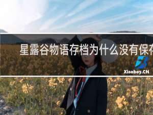 星露谷物语存档为什么没有保存