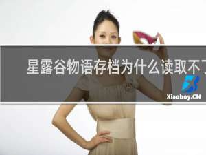 星露谷物语存档为什么读取不了