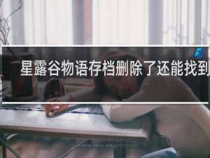 星露谷物语存档删除了还能找到吗