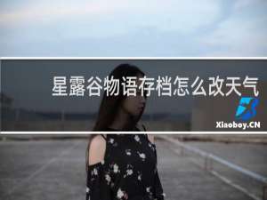 星露谷物语存档怎么改天气