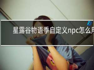 星露谷物语季自定义npc怎么用