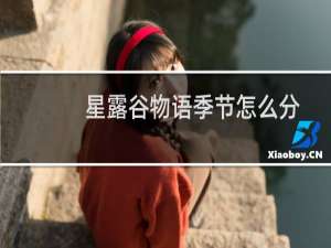 星露谷物语季节怎么分