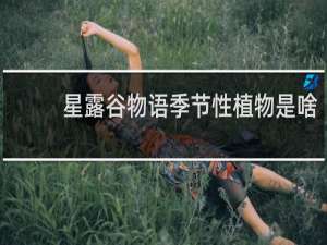 星露谷物语季节性植物是啥