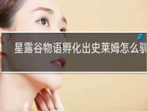 星露谷物语孵化出史莱姆怎么驯服
