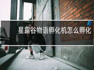 星露谷物语孵化机怎么孵化