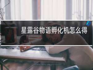 星露谷物语孵化机怎么得