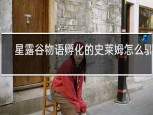 星露谷物语孵化的史莱姆怎么驯化