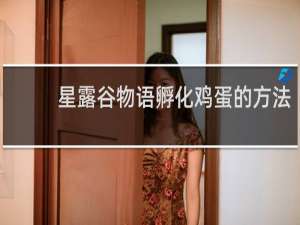 星露谷物语孵化鸡蛋的方法