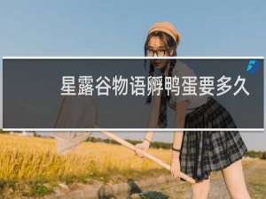 星露谷物语孵鸭蛋要多久