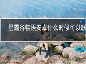 星露谷物语安卓什么时候可以联机