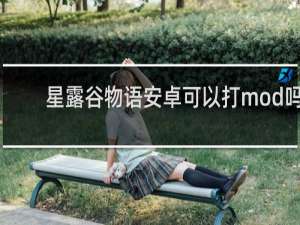 星露谷物语安卓可以打mod吗
