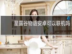 星露谷物语安卓可以联机吗