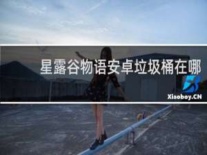 星露谷物语安卓垃圾桶在哪