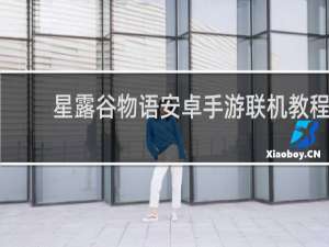 星露谷物语安卓手游联机教程