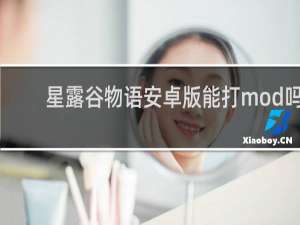 星露谷物语安卓版能打mod吗