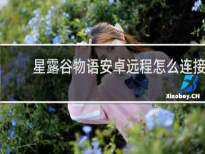 星露谷物语安卓远程怎么连接