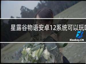 星露谷物语安卓12系统可以玩吗