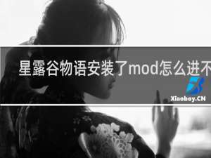 星露谷物语安装了mod怎么进不去