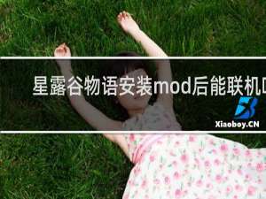 星露谷物语安装mod后能联机吗