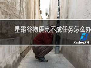 星露谷物语完不成任务怎么办