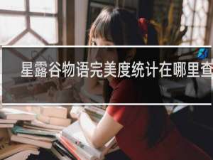 星露谷物语完美度统计在哪里查看