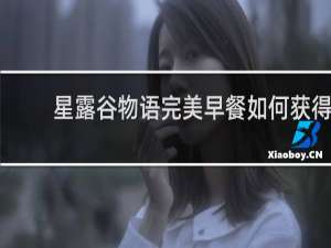 星露谷物语完美早餐如何获得