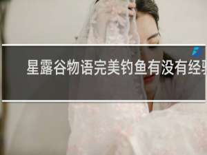 星露谷物语完美钓鱼有没有经验