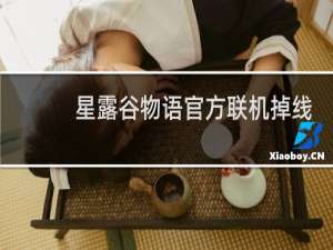 星露谷物语官方联机掉线
