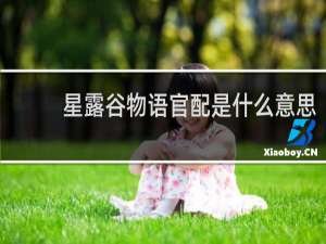 星露谷物语官配是什么意思