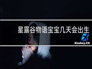 星露谷物语宝宝几天会出生