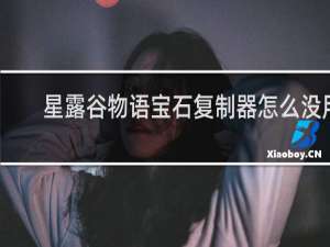 星露谷物语宝石复制器怎么没用