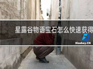 星露谷物语宝石怎么快速获得