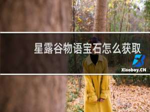 星露谷物语宝石怎么获取